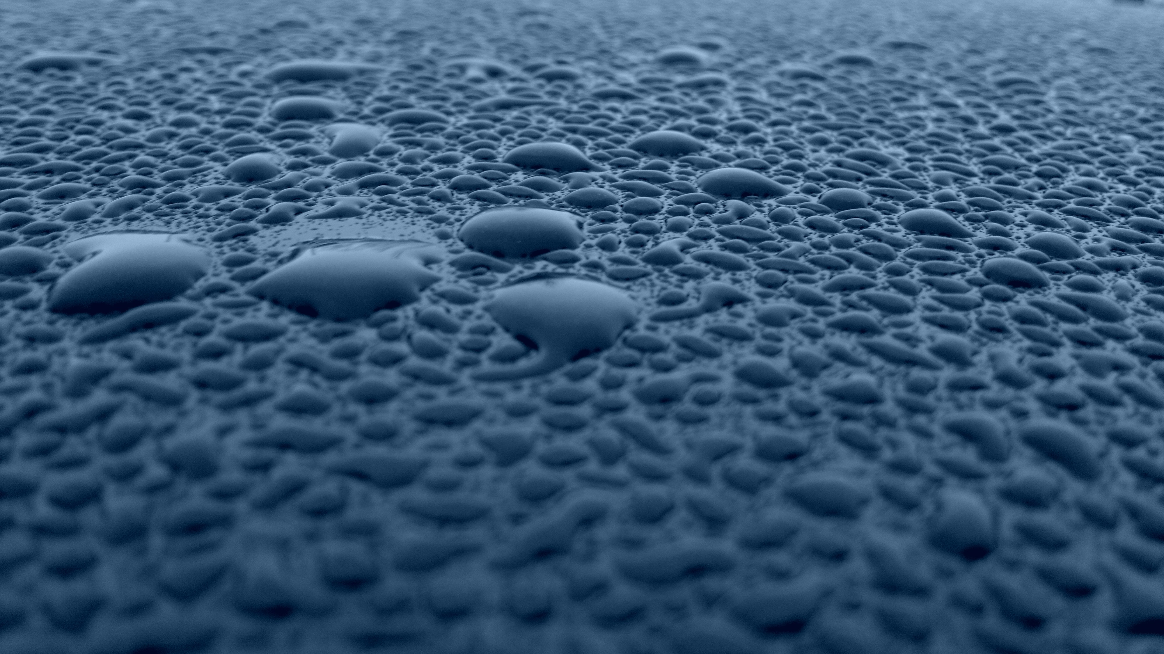 General 4000x2248 water water drops rain