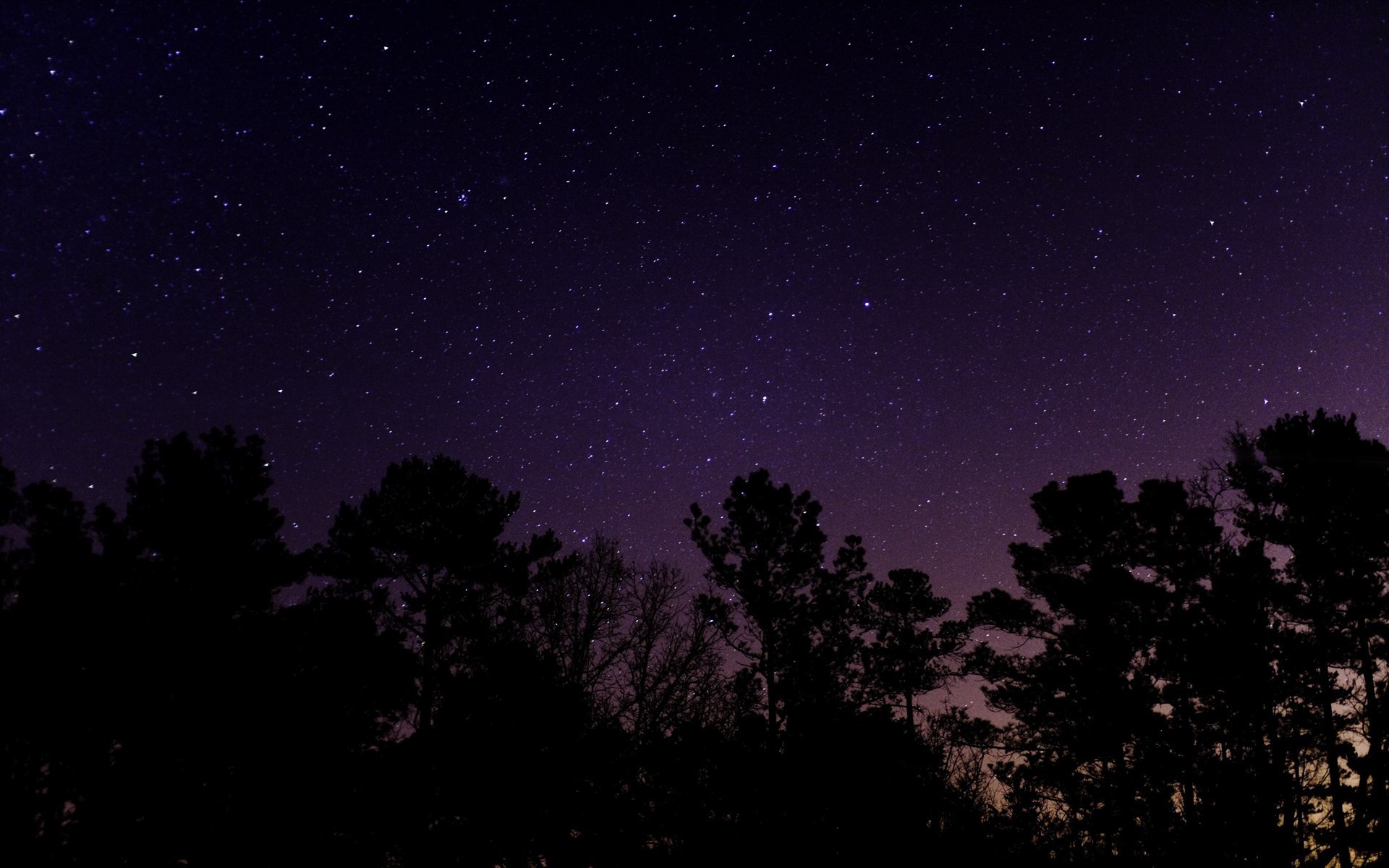 General 1920x1200 stars night landscape starry night trees long exposure starred sky purple sky nature dark
