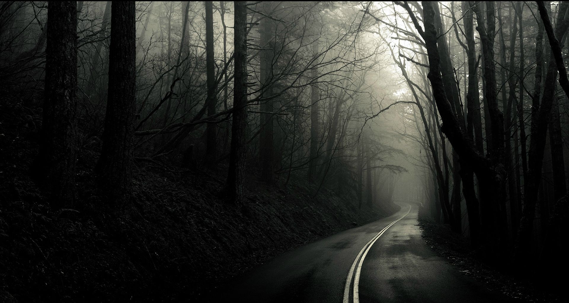 General 1920x1024 forest road monochrome dark trees asphalt spooky