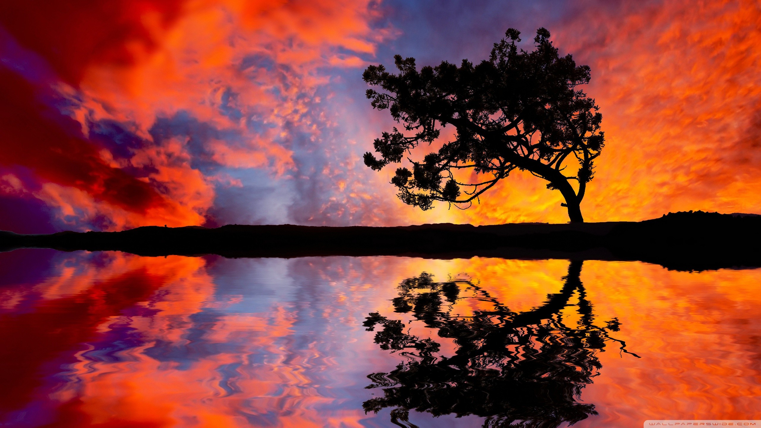 General 2560x1440 reflection clouds trees sky landscape low light watermarked