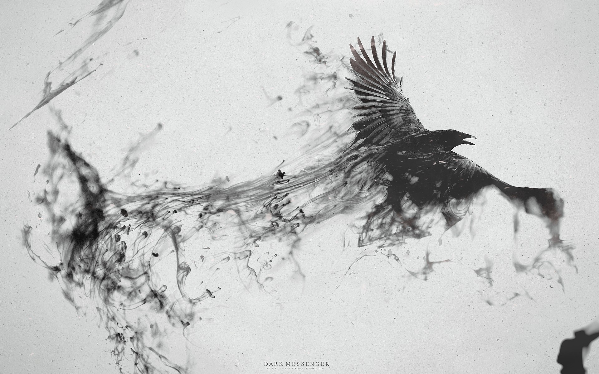 General 1920x1200 raven ink animals birds monochrome artwork digital art white background simple background wings