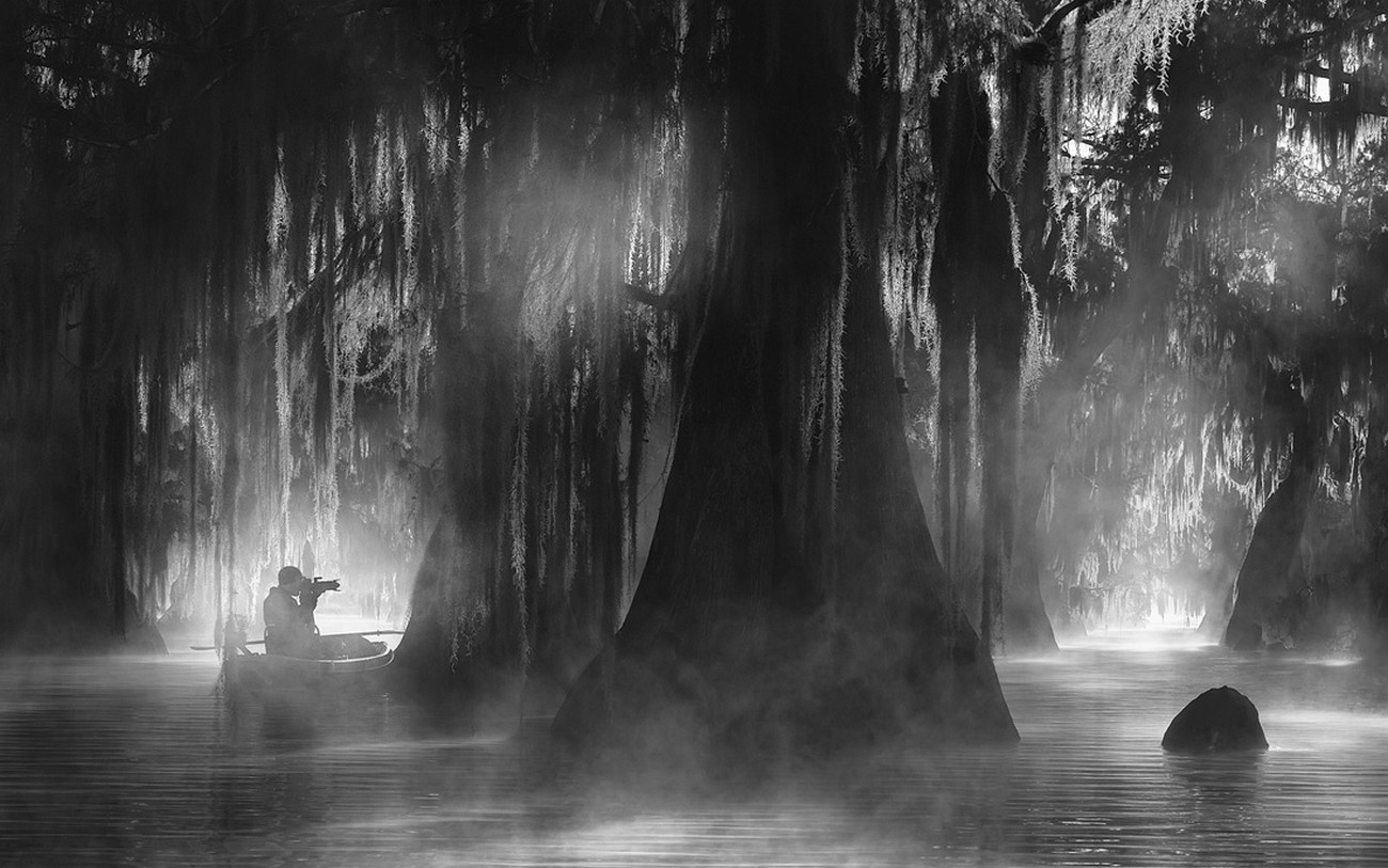 General 1300x813 nature cypress trees mist atmosphere photographer water boat sunlight monochrome forest camera