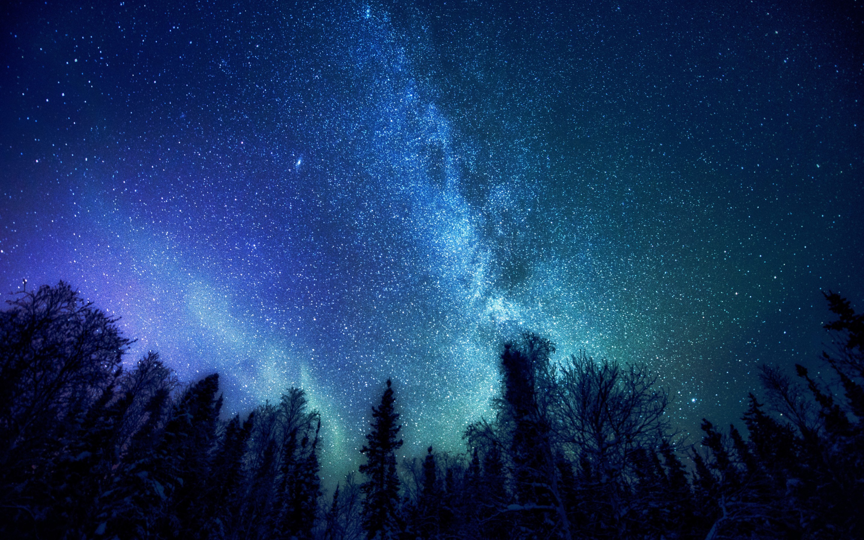 General 2880x1800 trees nature stars Milky Way sky worm's eye view outdoors night night sky blue low light
