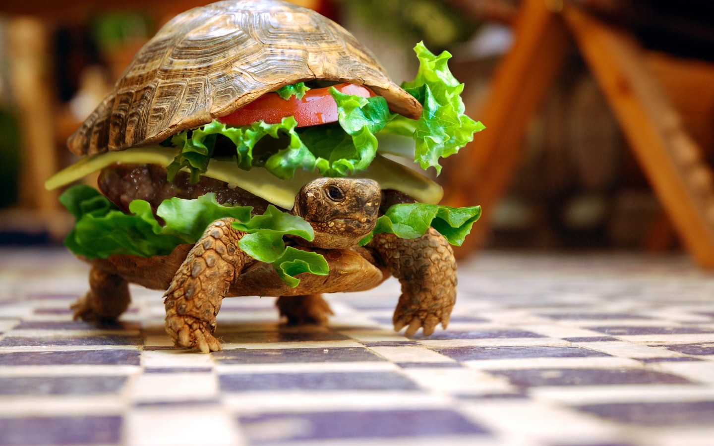General 1440x900 turtle animals burgers sandwiches photo manipulation depth of field lettuce summer checkered photoshopped humor chess floor