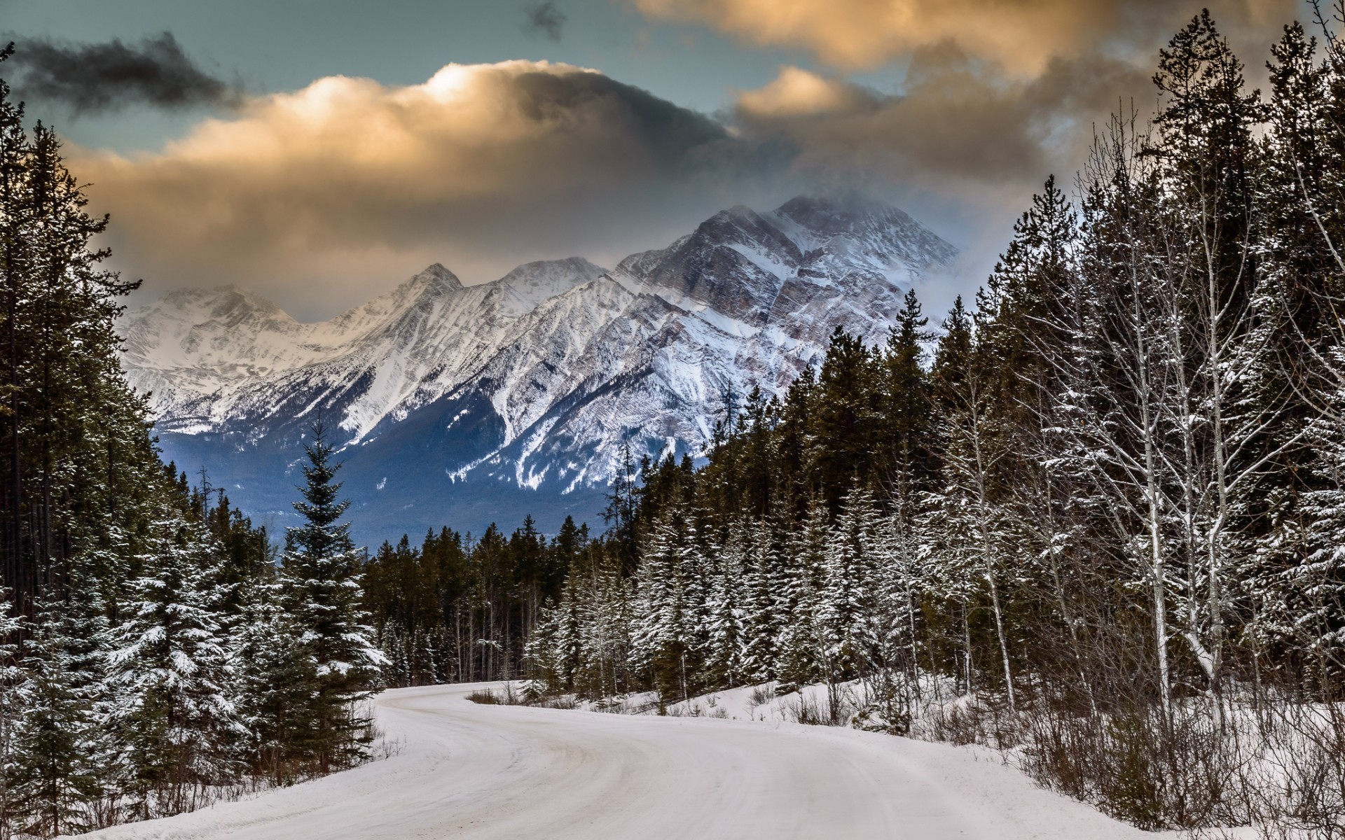 General 1920x1200 landscape road forest mountains nature snow winter ice cold outdoors snowy peak
