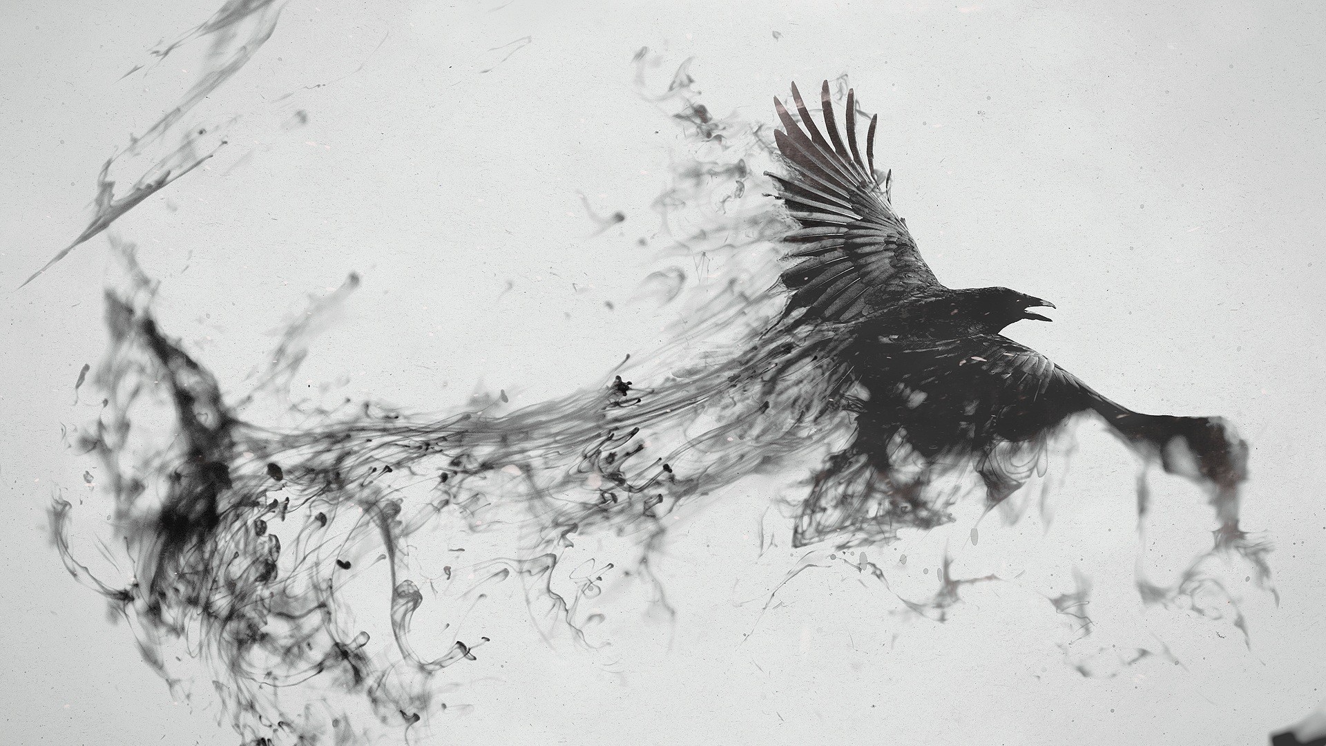 General 1920x1080 monochrome ink artwork digital art simple background raven animals birds wings