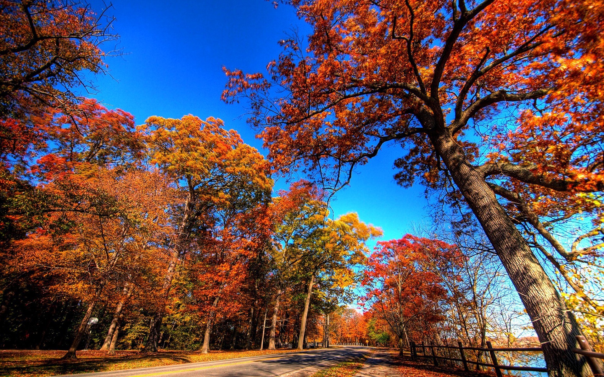 General 1920x1200 road fall trees outdoors clear sky