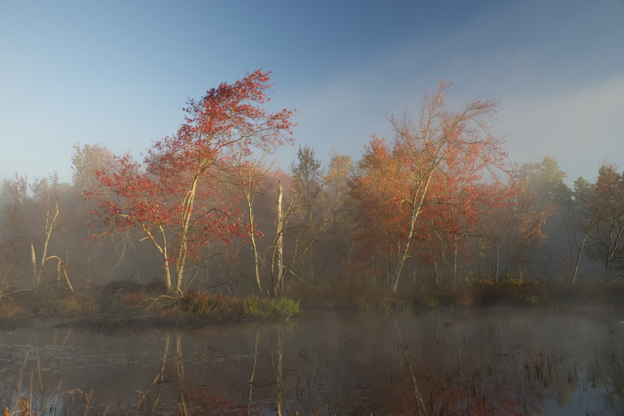 Какие есть состояния природы. Осеннее озеро. Поздняя осень. Пасмурная осень. Поздняя осень речка.