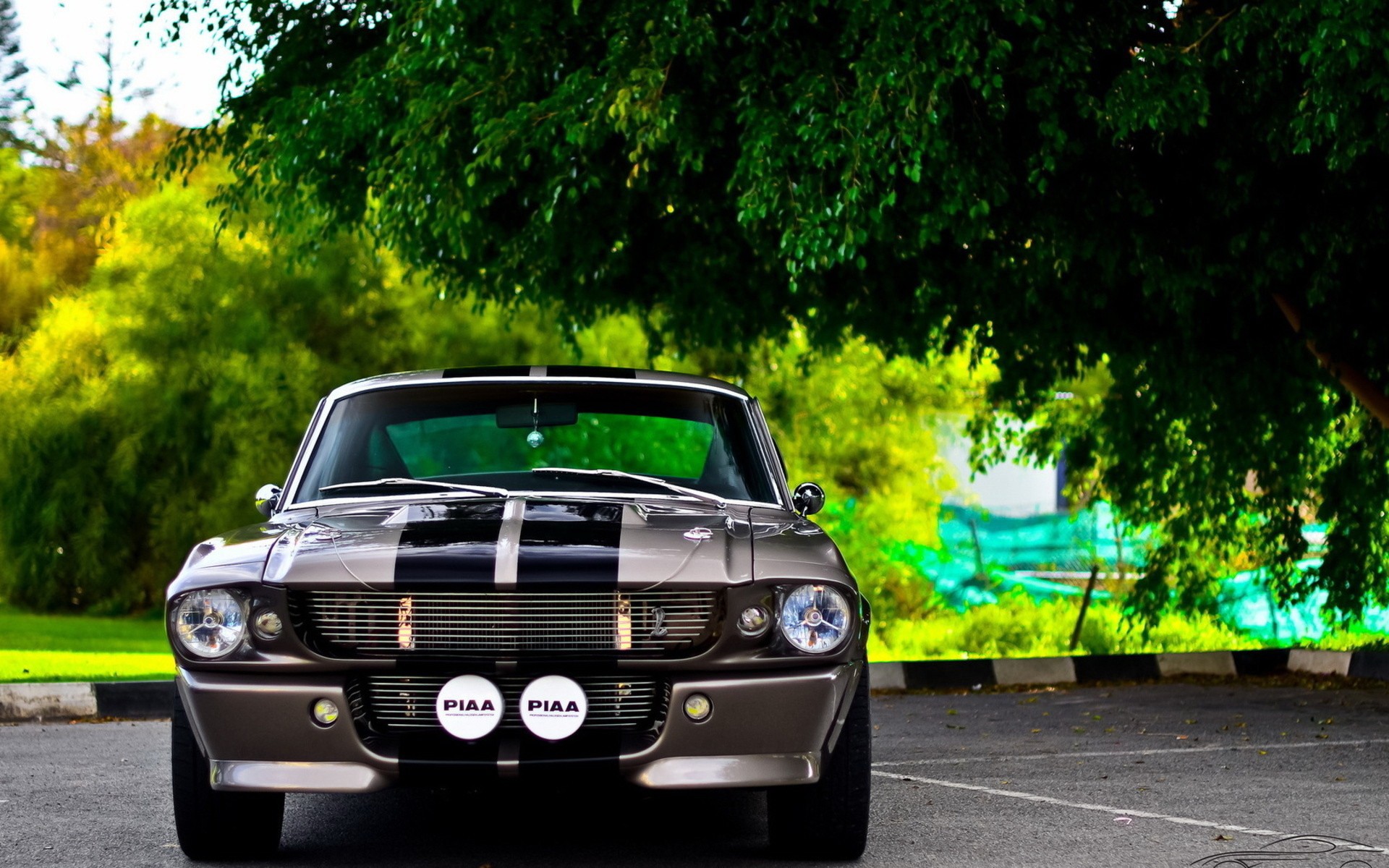 General 1920x1200 Shelby car Ford Mustang Ford Mustang Shelby Ford vehicle trees