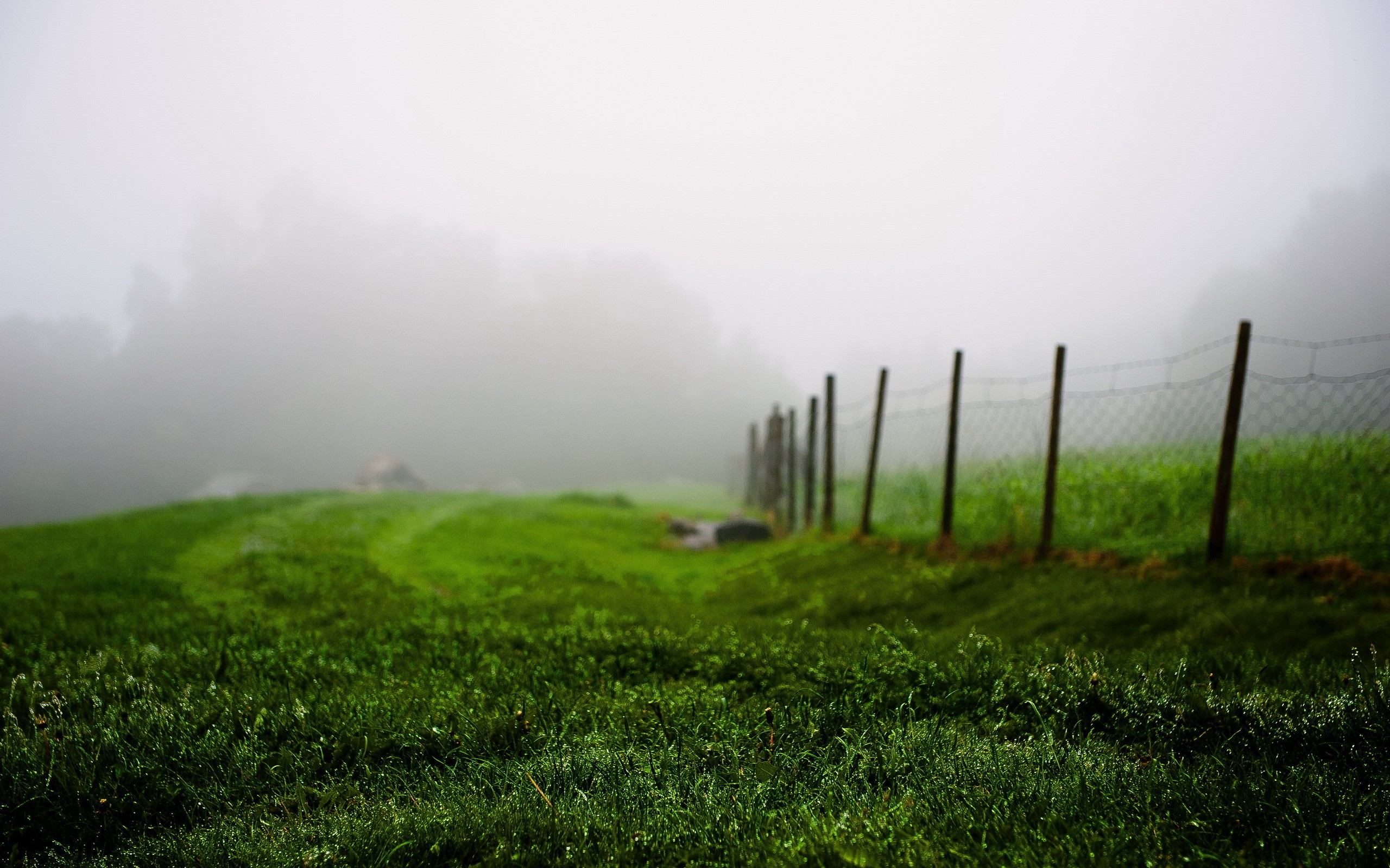 General 2560x1600 nature blurred grass mist fence green depth of field
