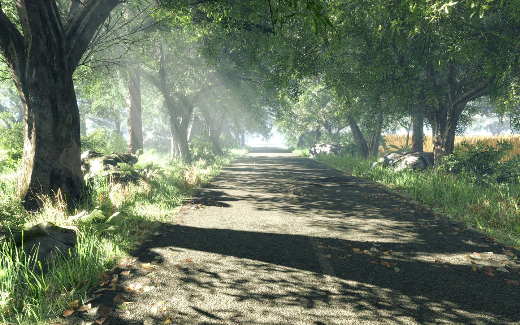 General 1680x1050 trees shadow sun rays road asphalt outdoors plants CryEngine 