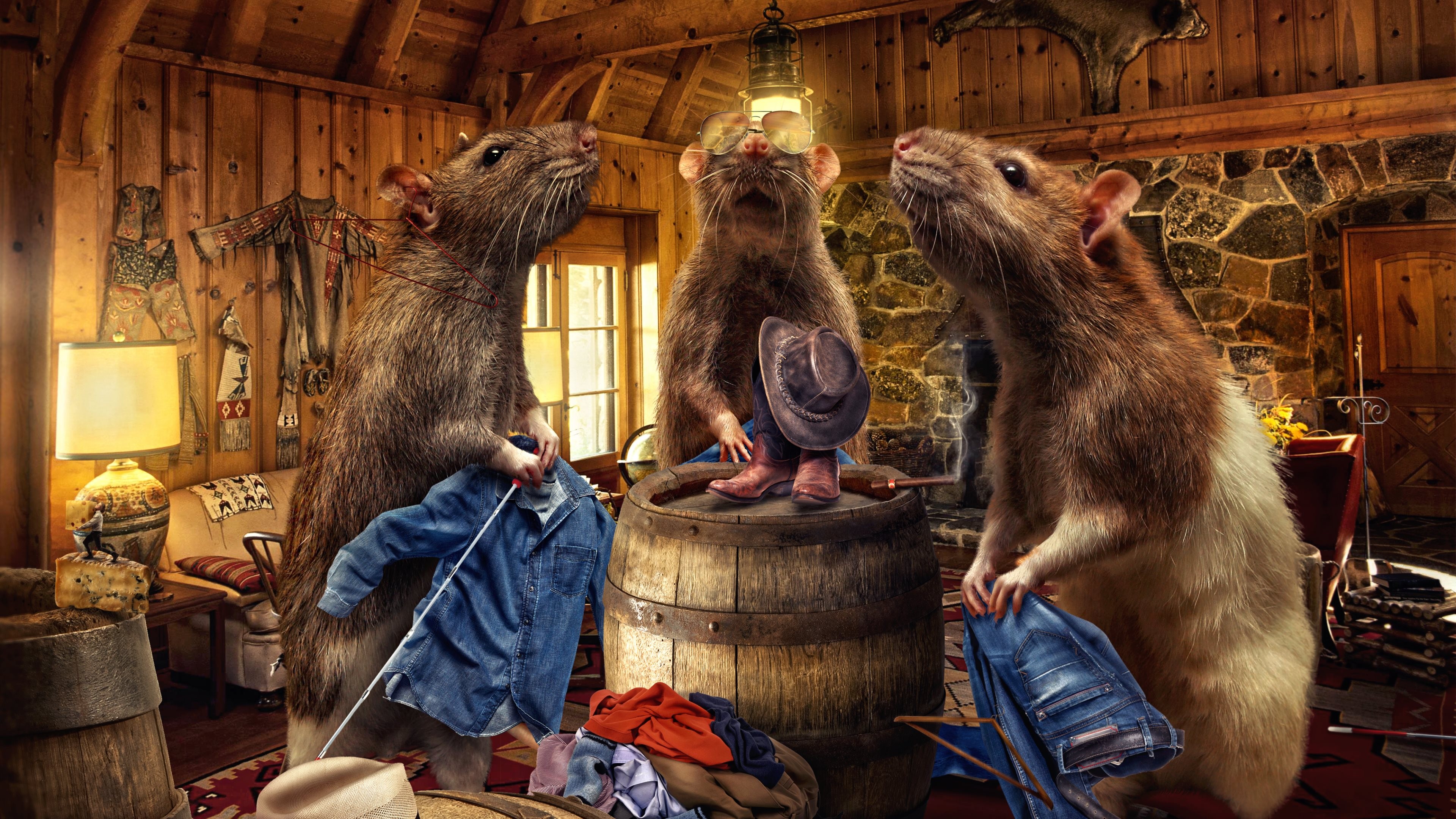 General 3840x2160 digital art animals photography photoshopped rats jeans sunglasses cowboy hats boots barrels clothing interior cigars wall men cheese lamp couch door window wood Native American clothing smoke fireplace fur