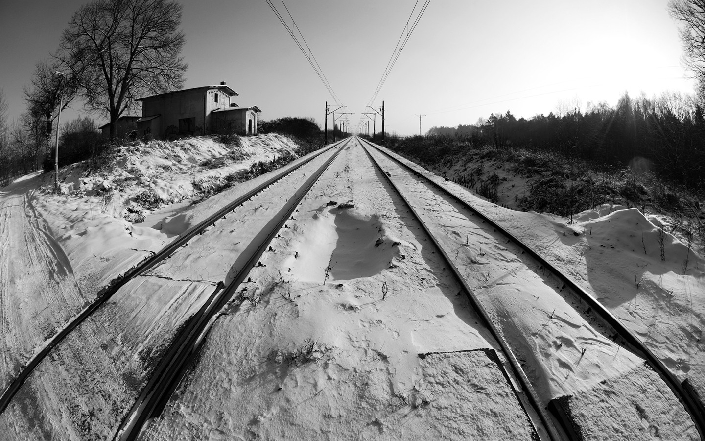 General 1440x900 winter tracks railway snow black white cold Sun trees horizon depth of field