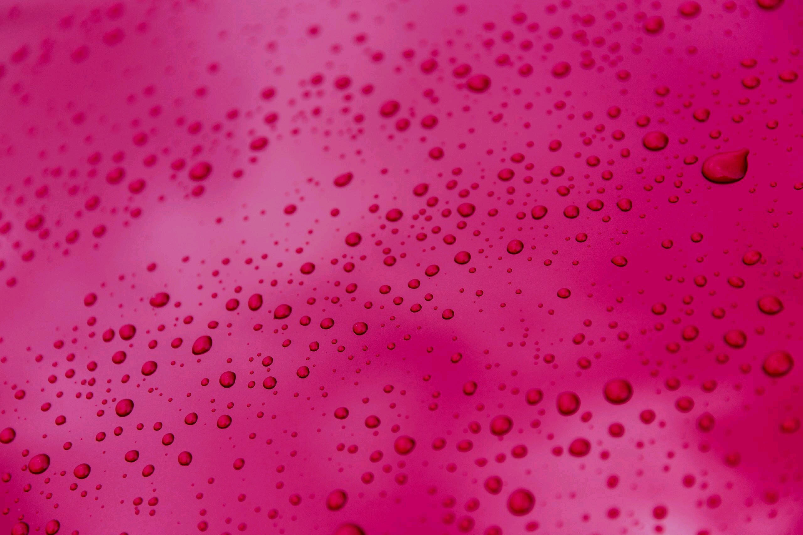 General 2560x1706 texture macro water drops magenta