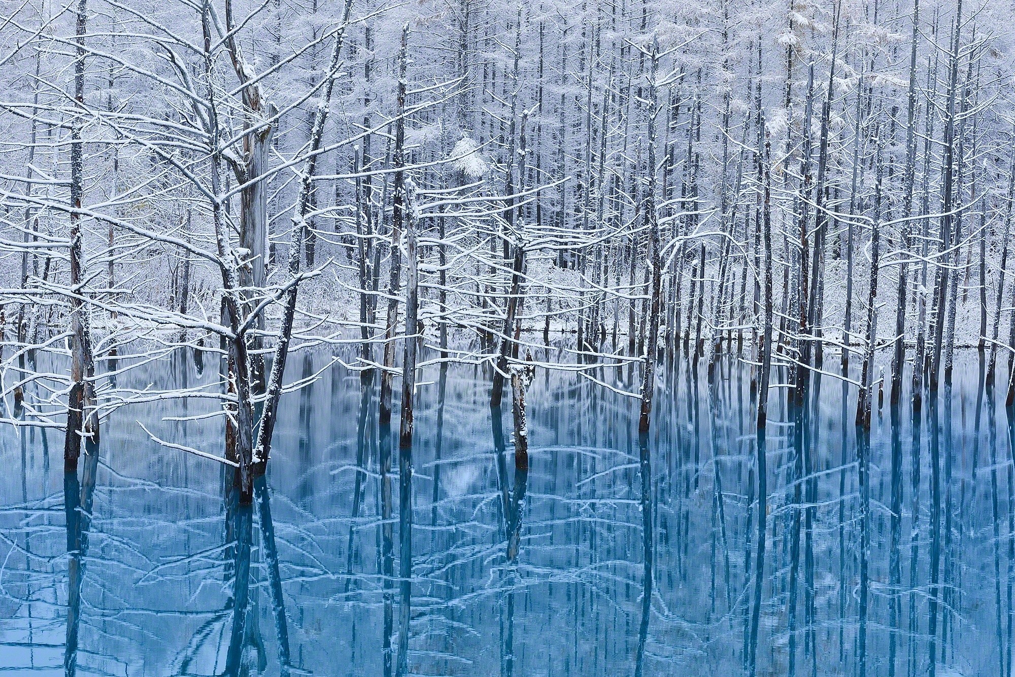 General 2000x1335 nature snow trees reflection lake winter cold water frost