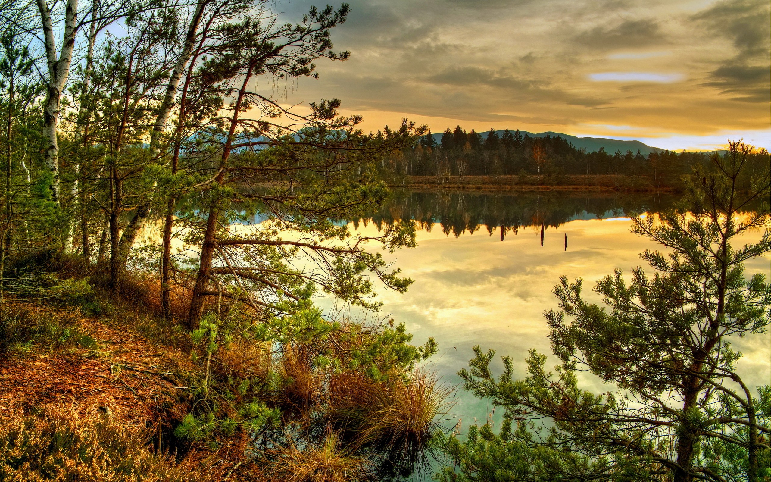 General 2560x1600 nature landscape reflection HDR water trees sky