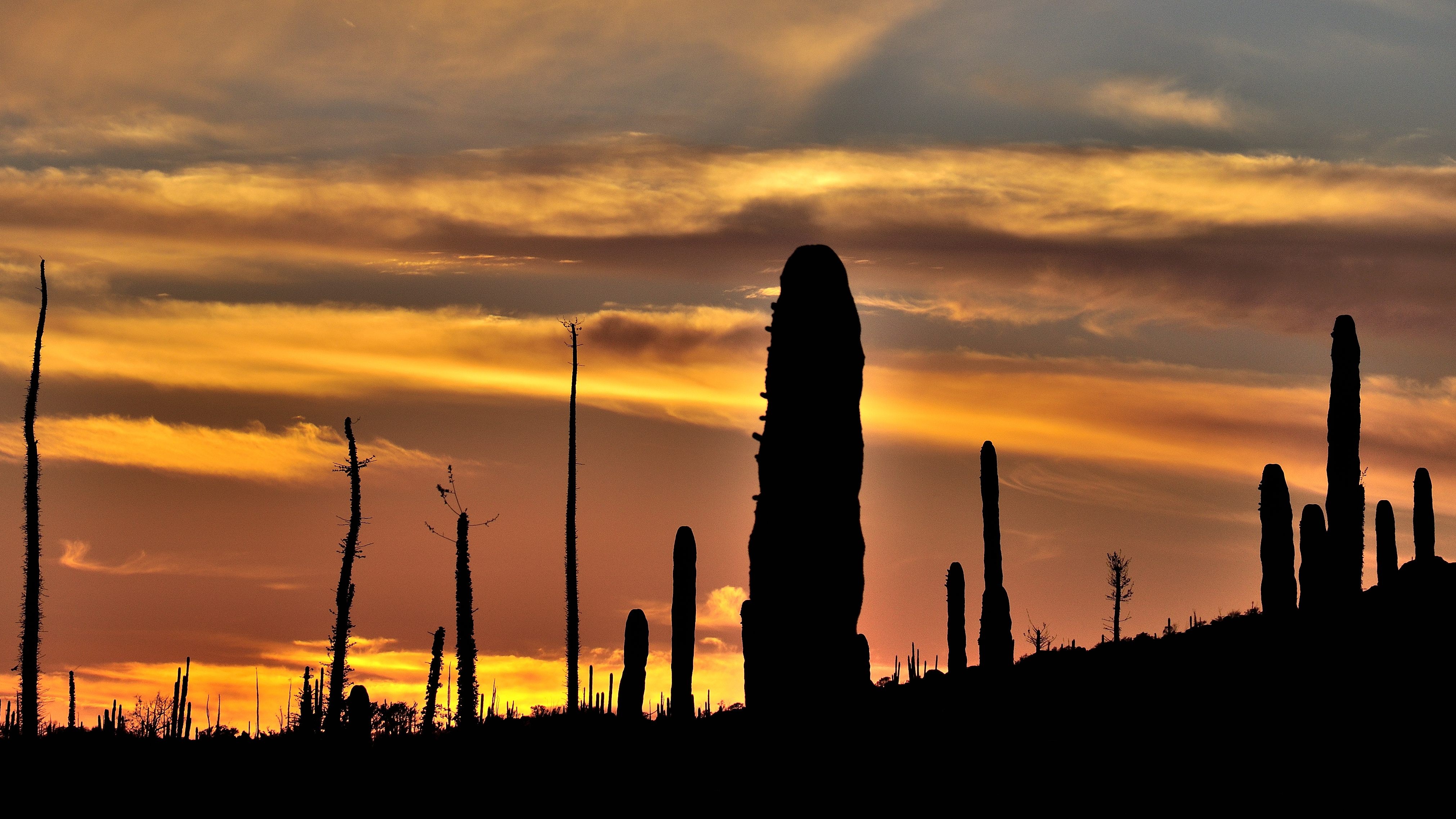 General 4044x2275 sunset landscape silhouette cactus orange sky sunlight dark low light