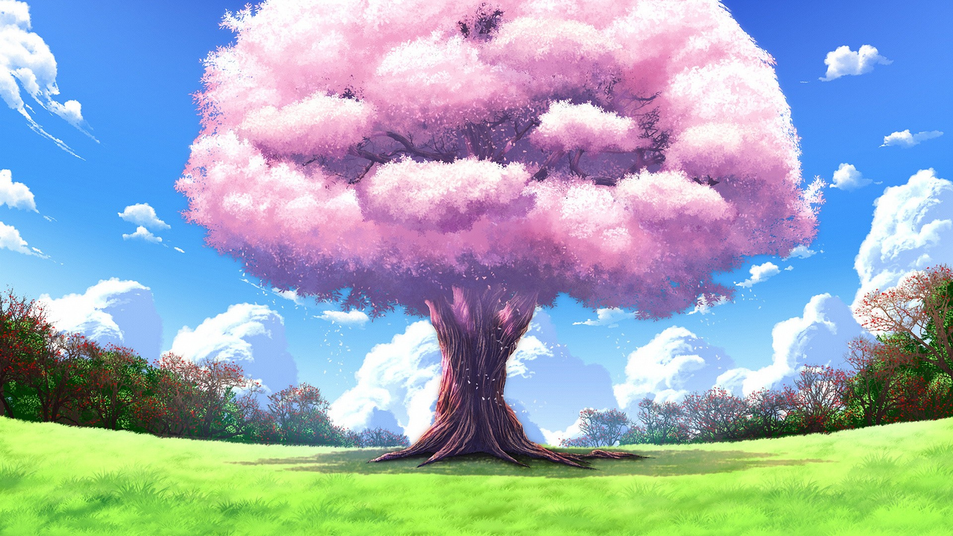 Anime 1920x1080 nature cherry blossom anime