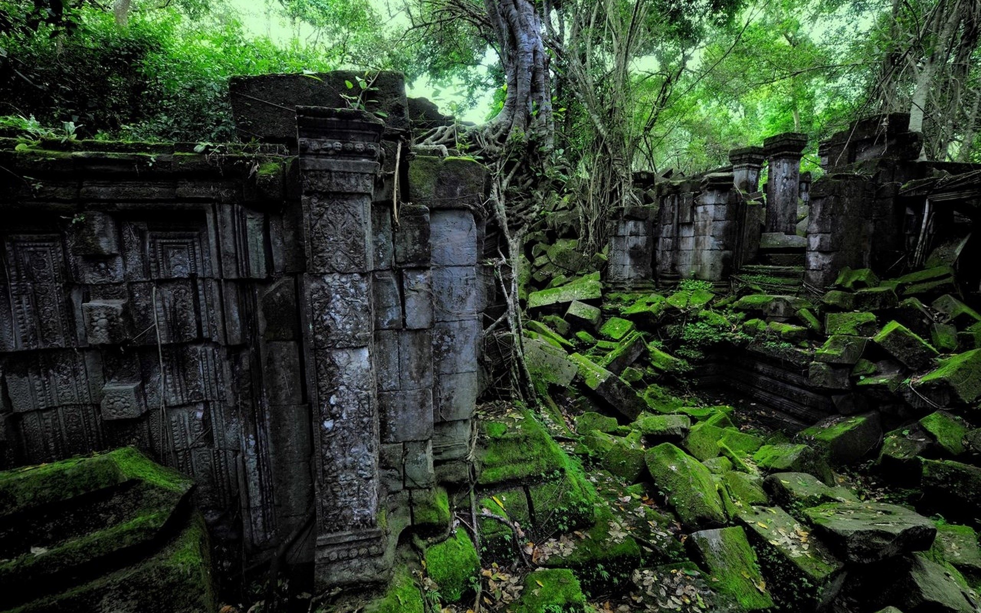 General 1920x1200 nature ruins Angkor Wat ancient history Asia trees moss plants