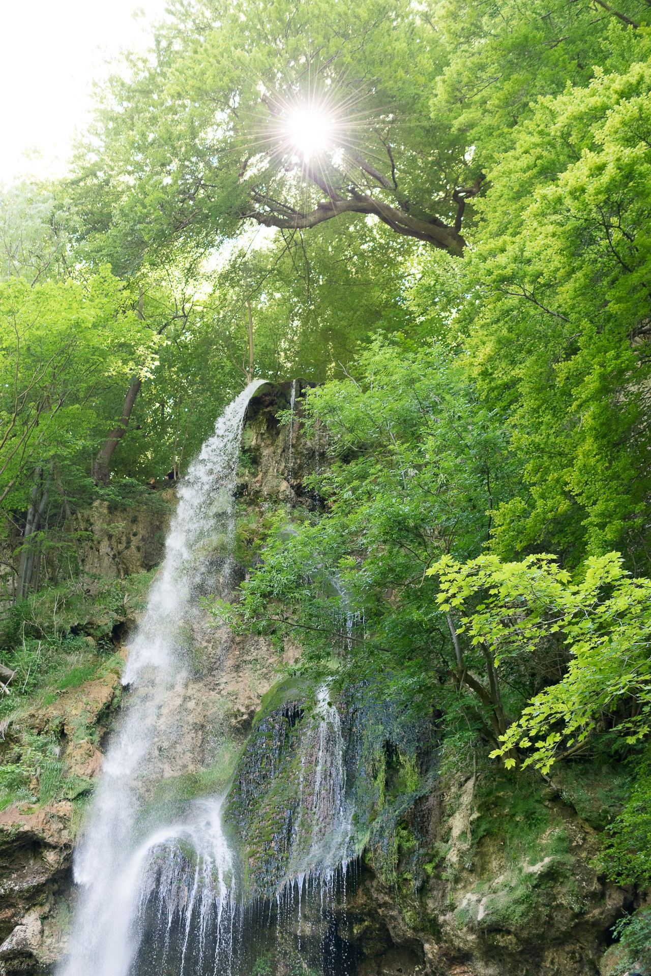 General 1280x1920 nature waterfall outdoors trees