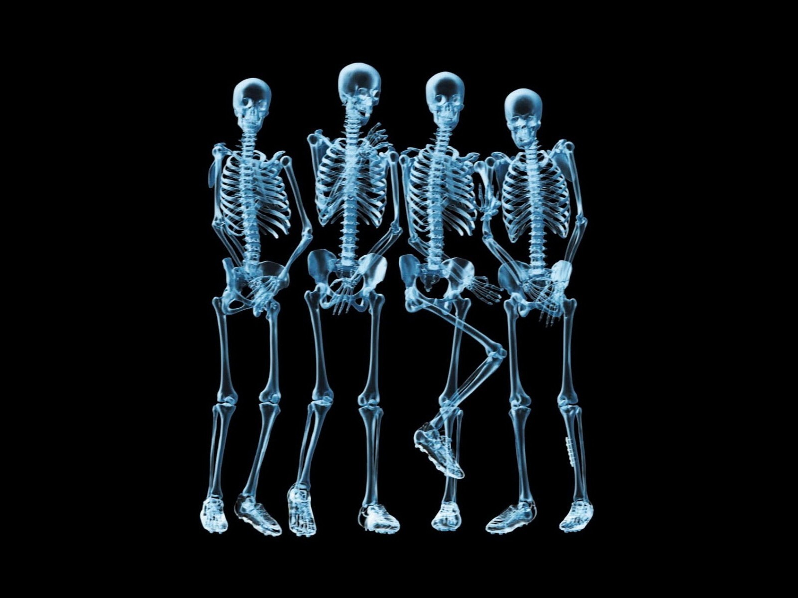 General 1600x1200 x-rays skeleton humor cyan