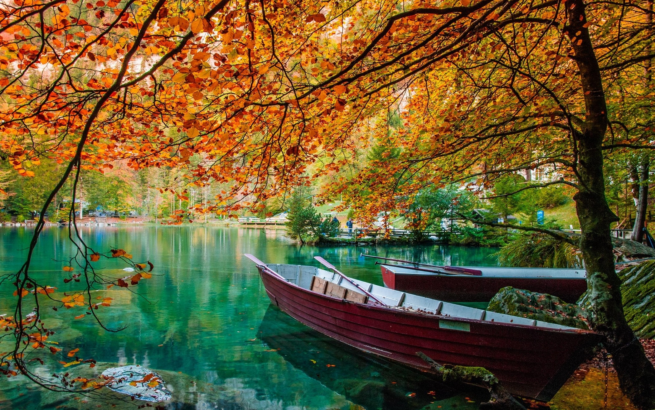 General 2100x1315 nature landscape lake trees boat leaves fall green water