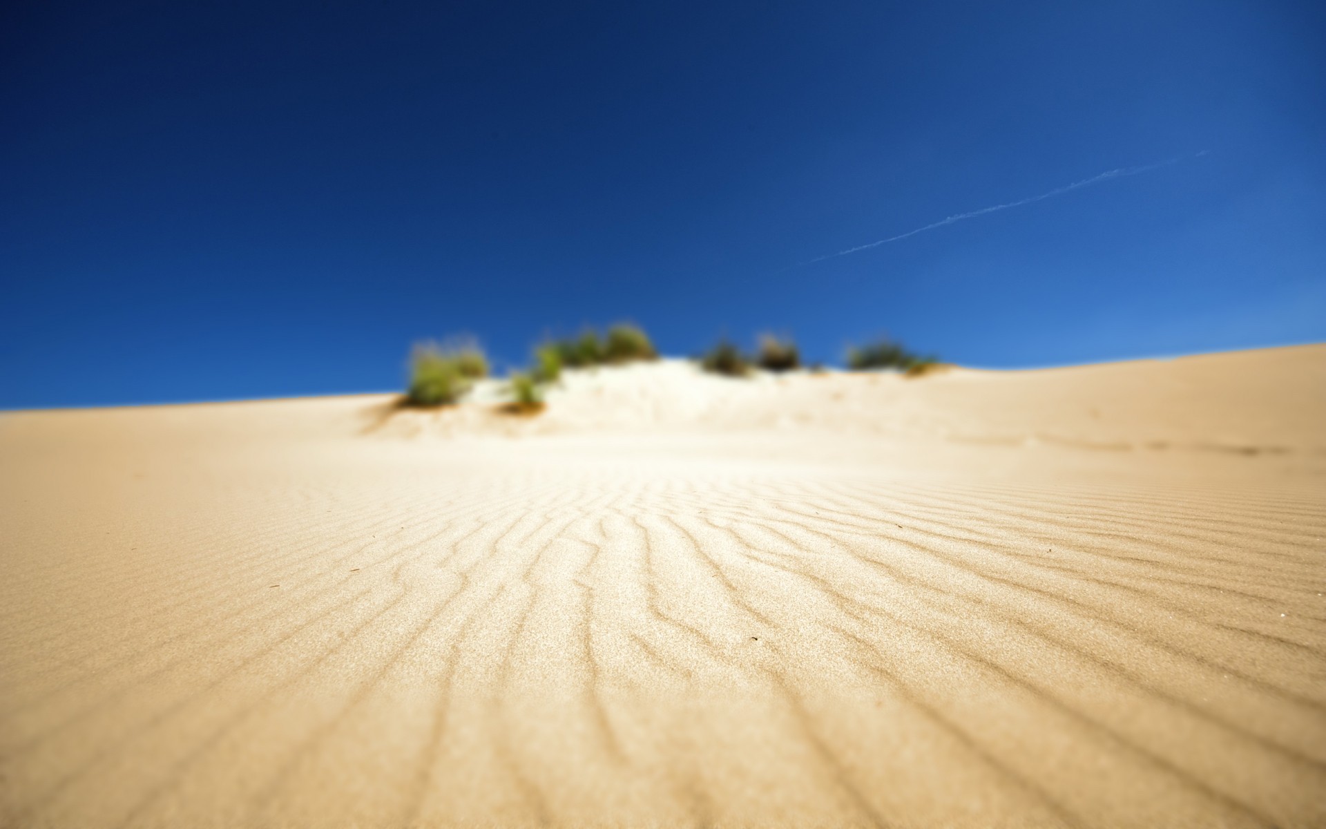 General 1920x1200 desert sand landscape shrubs dunes nature outdoors