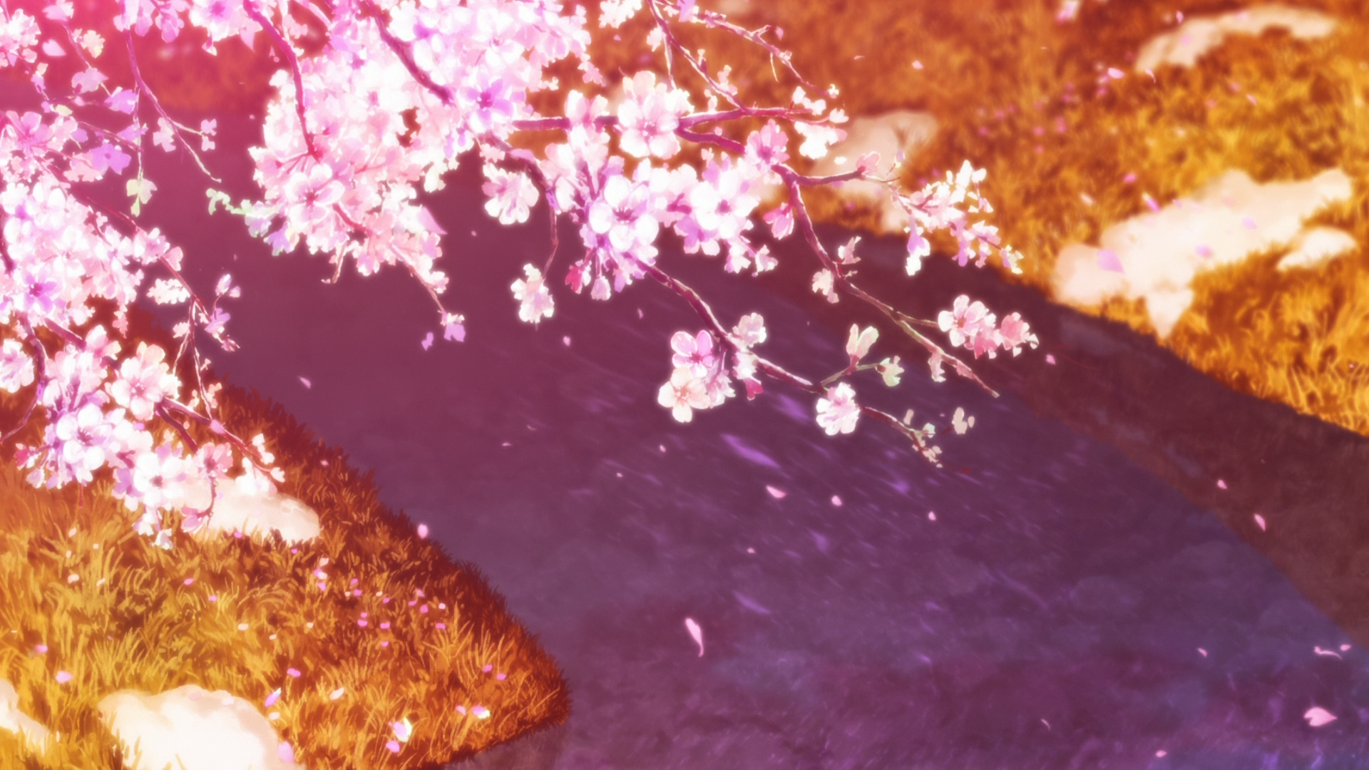 Anime 1920x1080 cherry blossom plants anime twigs flowers pink flowers