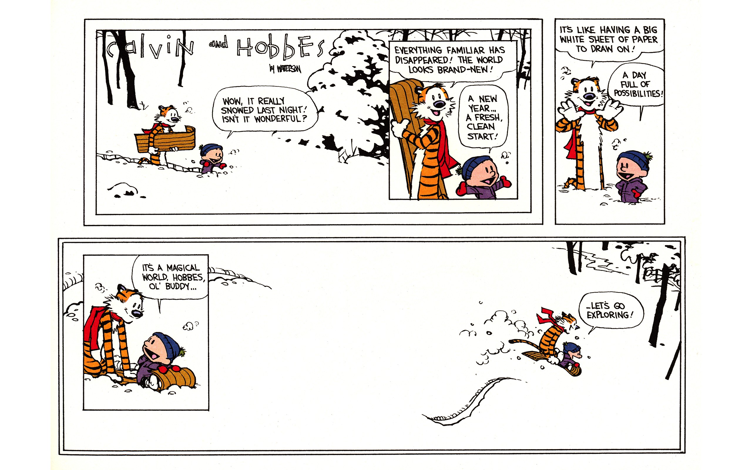 General 2560x1600 Calvin and Hobbes comics cartoon