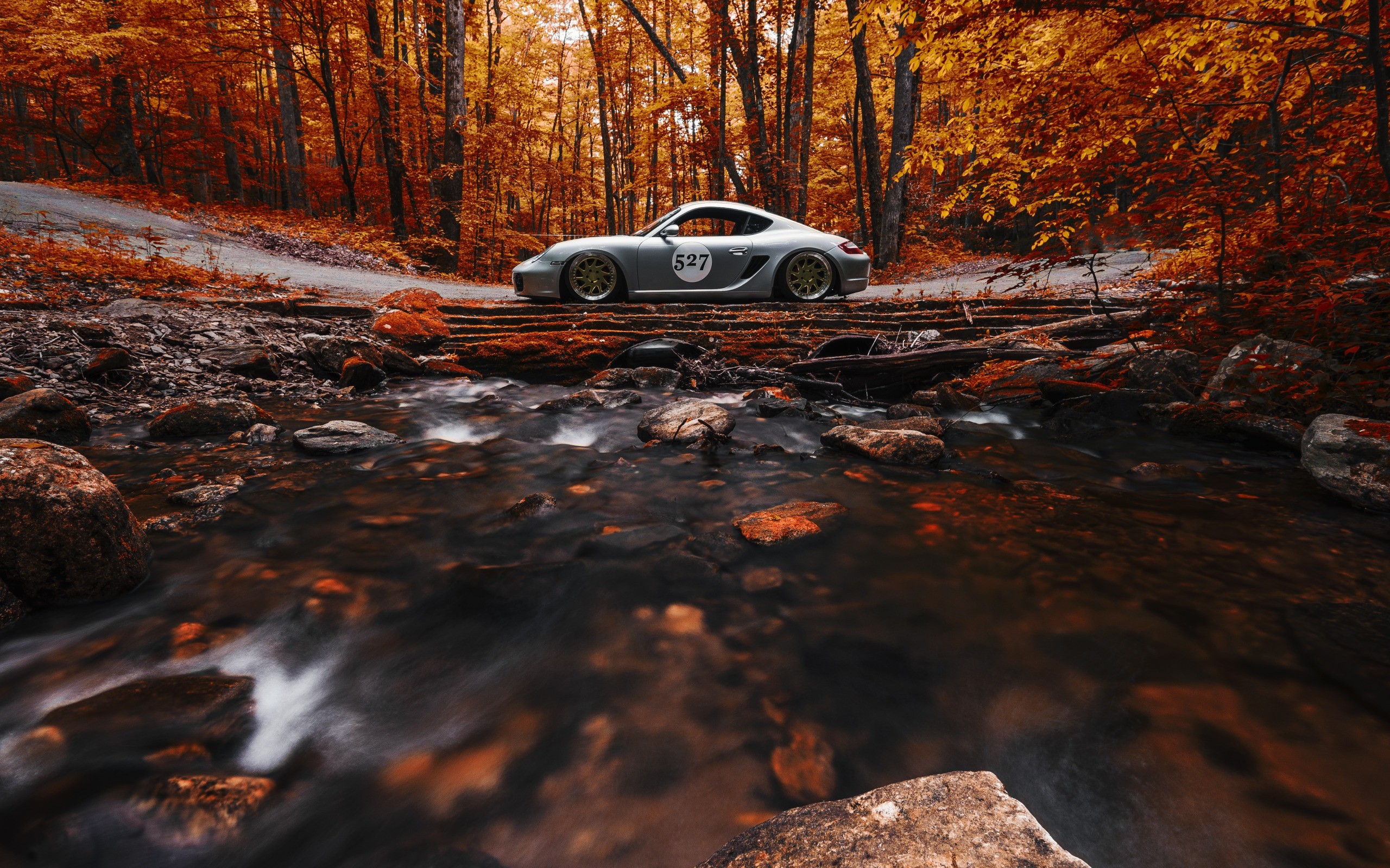 General 2560x1600 nature car trees forest fall vehicle leaves long exposure stream stones road rocks sports car side view Porsche Porsche 987 Porsche Cayman silver cars German cars Volkswagen Group