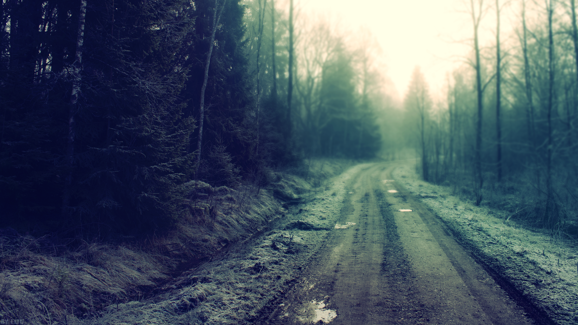 General 1920x1080 road trees forest mist dirty forest clearing path nature mud dirt road dirt