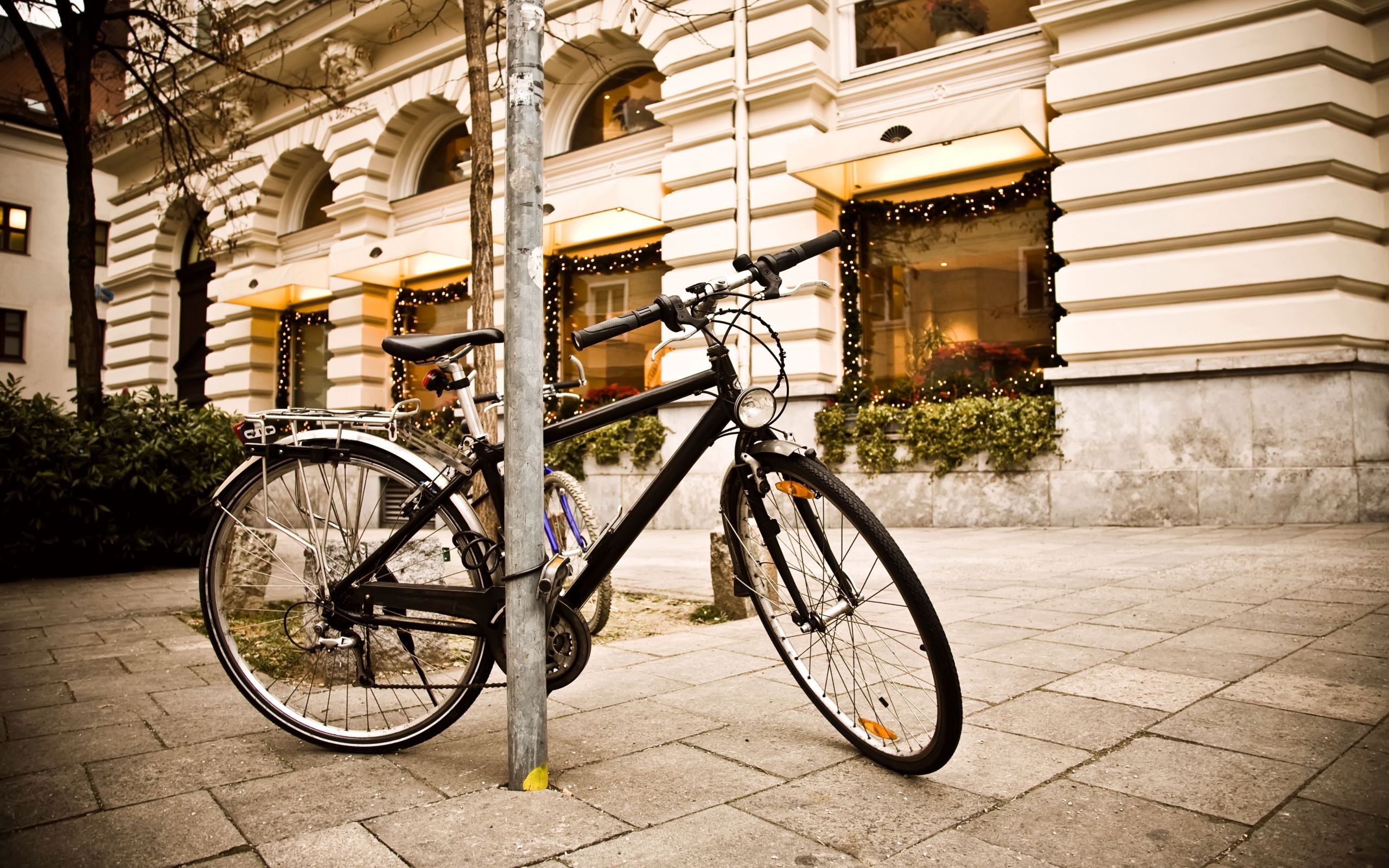 General 2560x1600 bicycle street urban vehicle