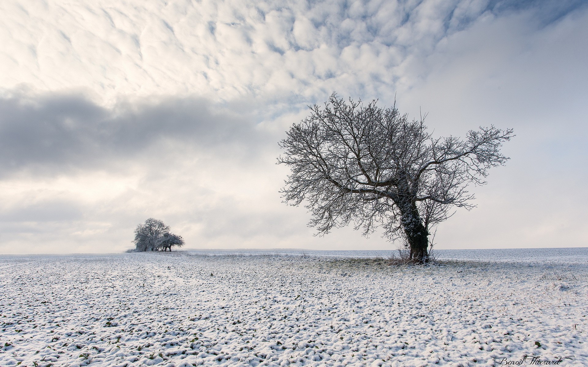 General 1920x1200 trees sky landscape clouds snow winter cold ice outdoors