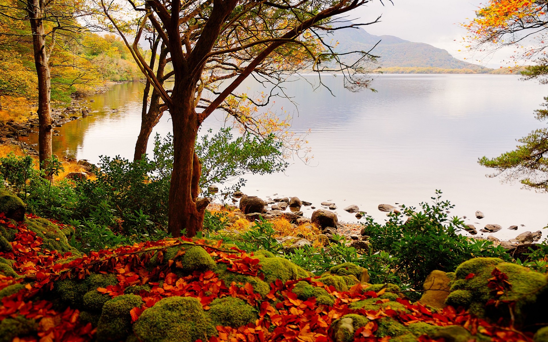 General 1920x1200 nature fall fallen leaves red leaves lake landscape rocks colorful leaves