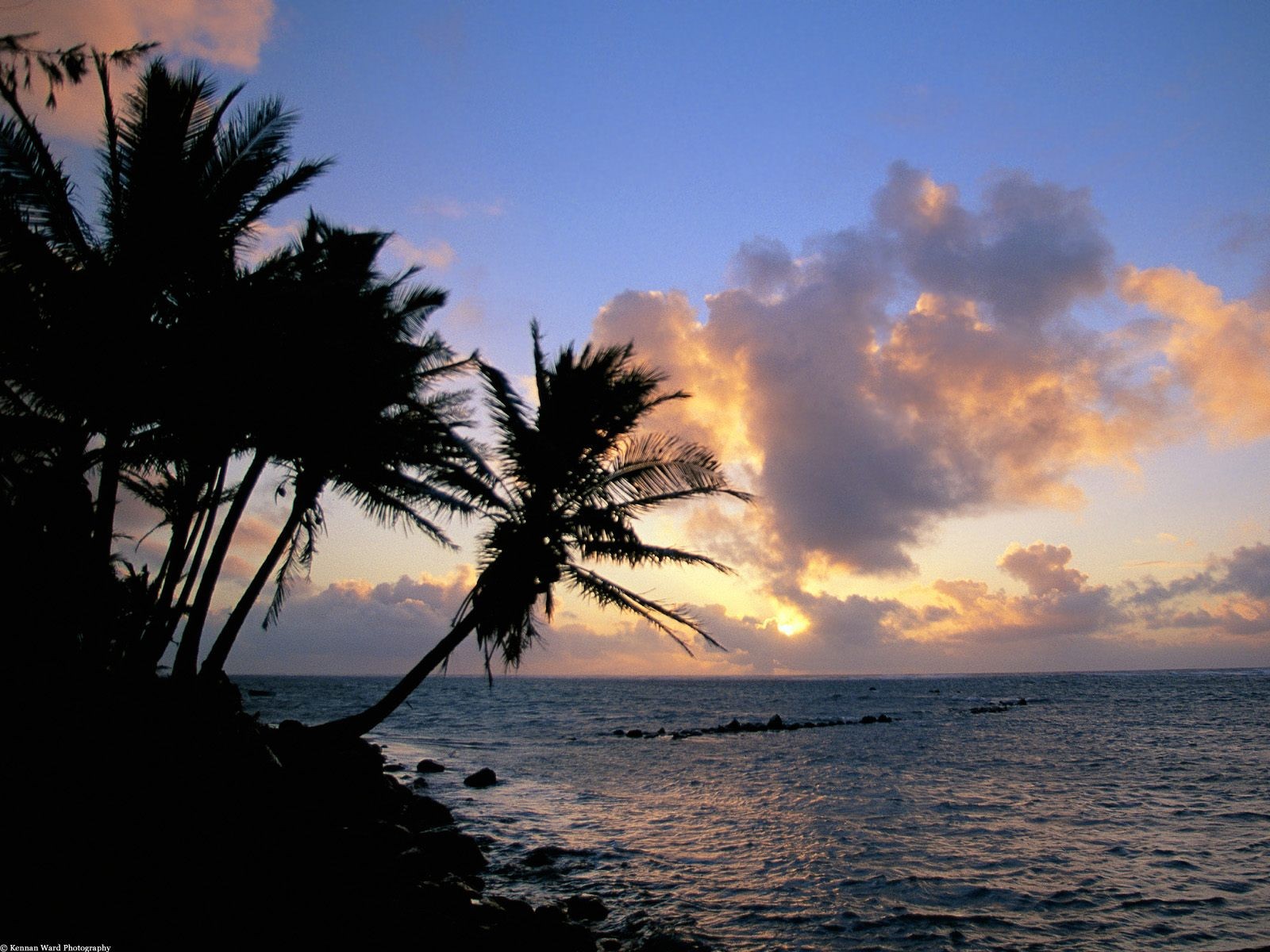 General 1600x1200 landscape sea palm trees tropical coast sunset