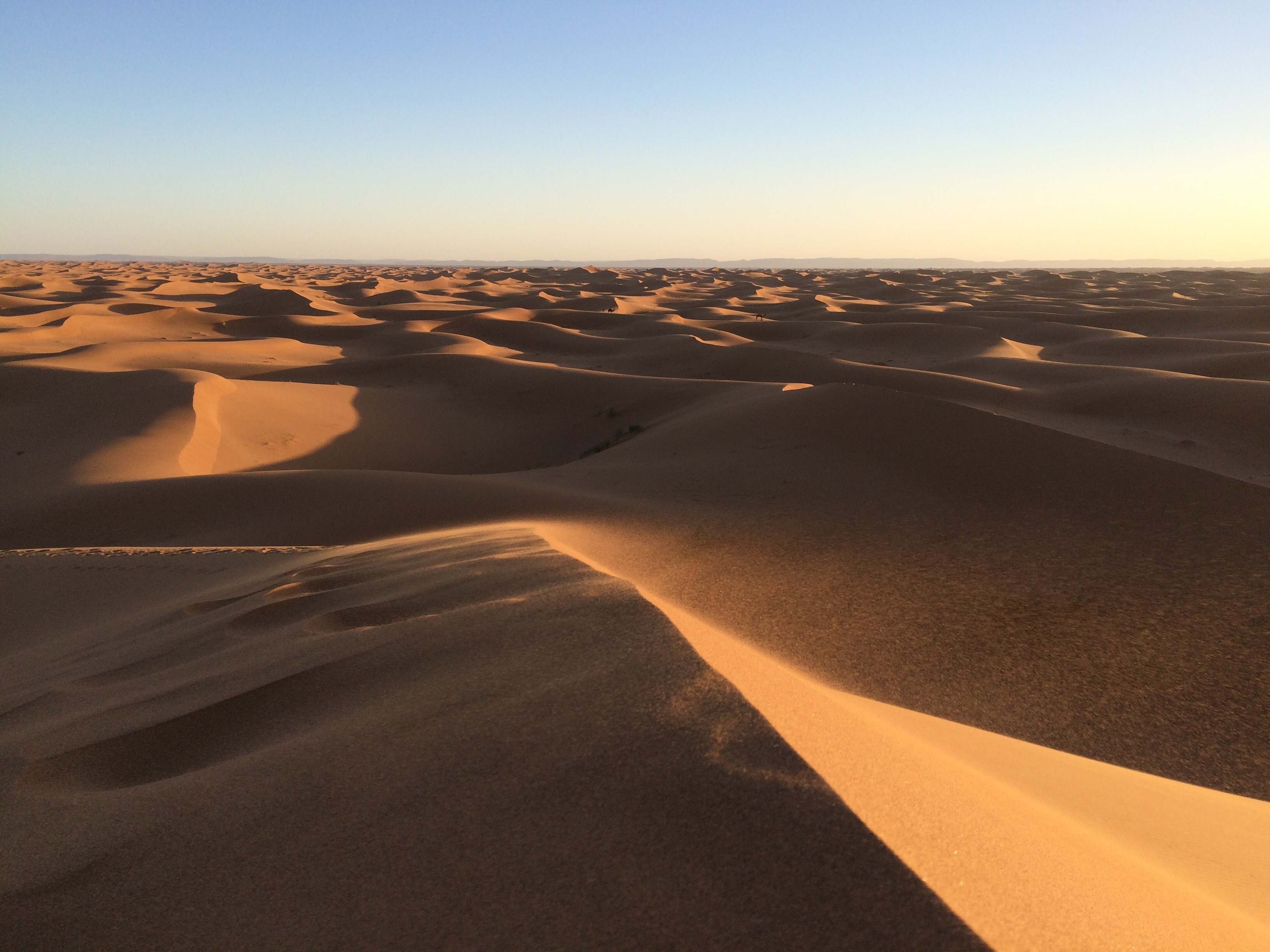 General 3264x2448 landscape nature desert sand dunes camels