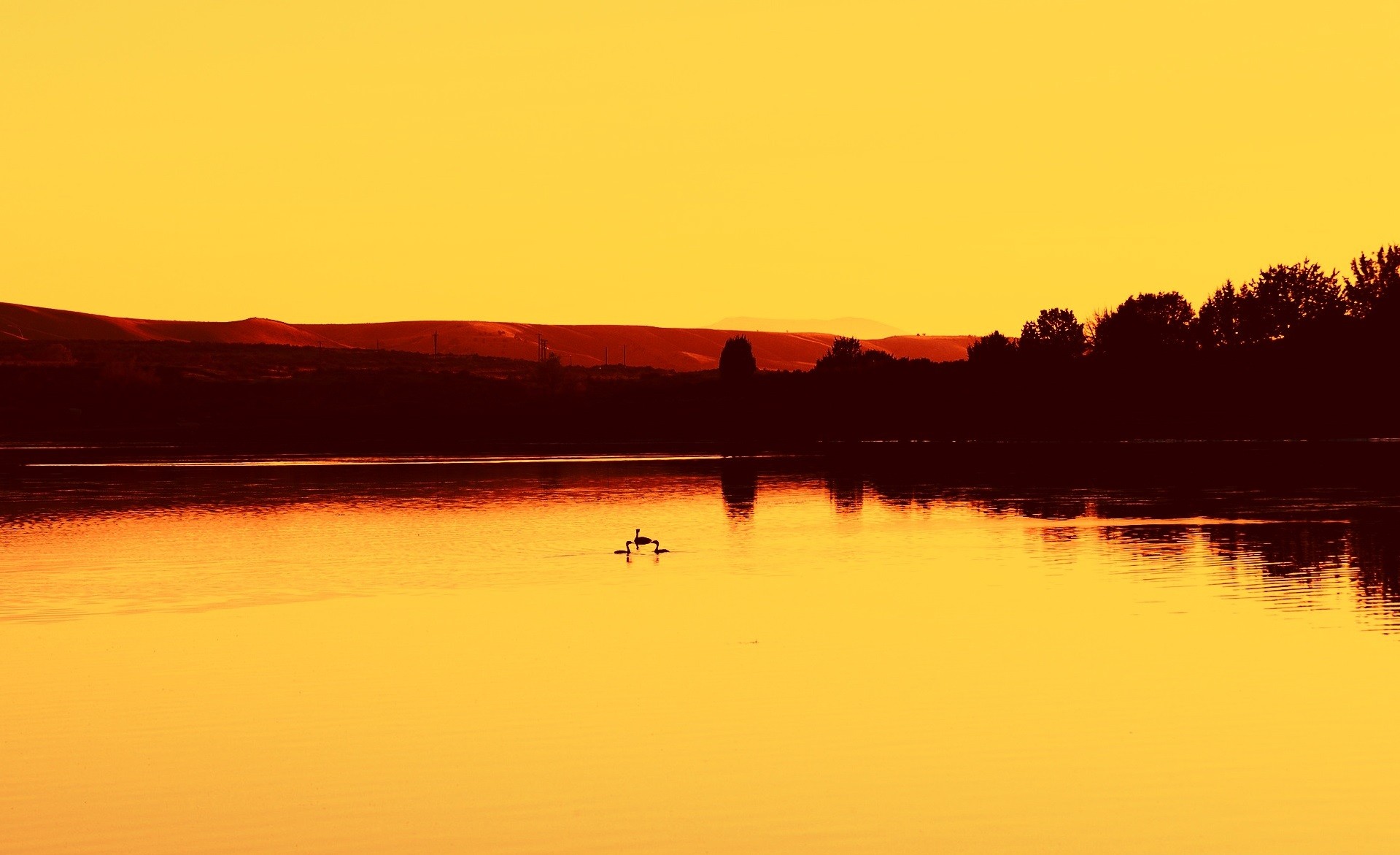 General 1919x1171 photography landscape water sunset orange trees lake sky nature animals birds reflection yellow sky