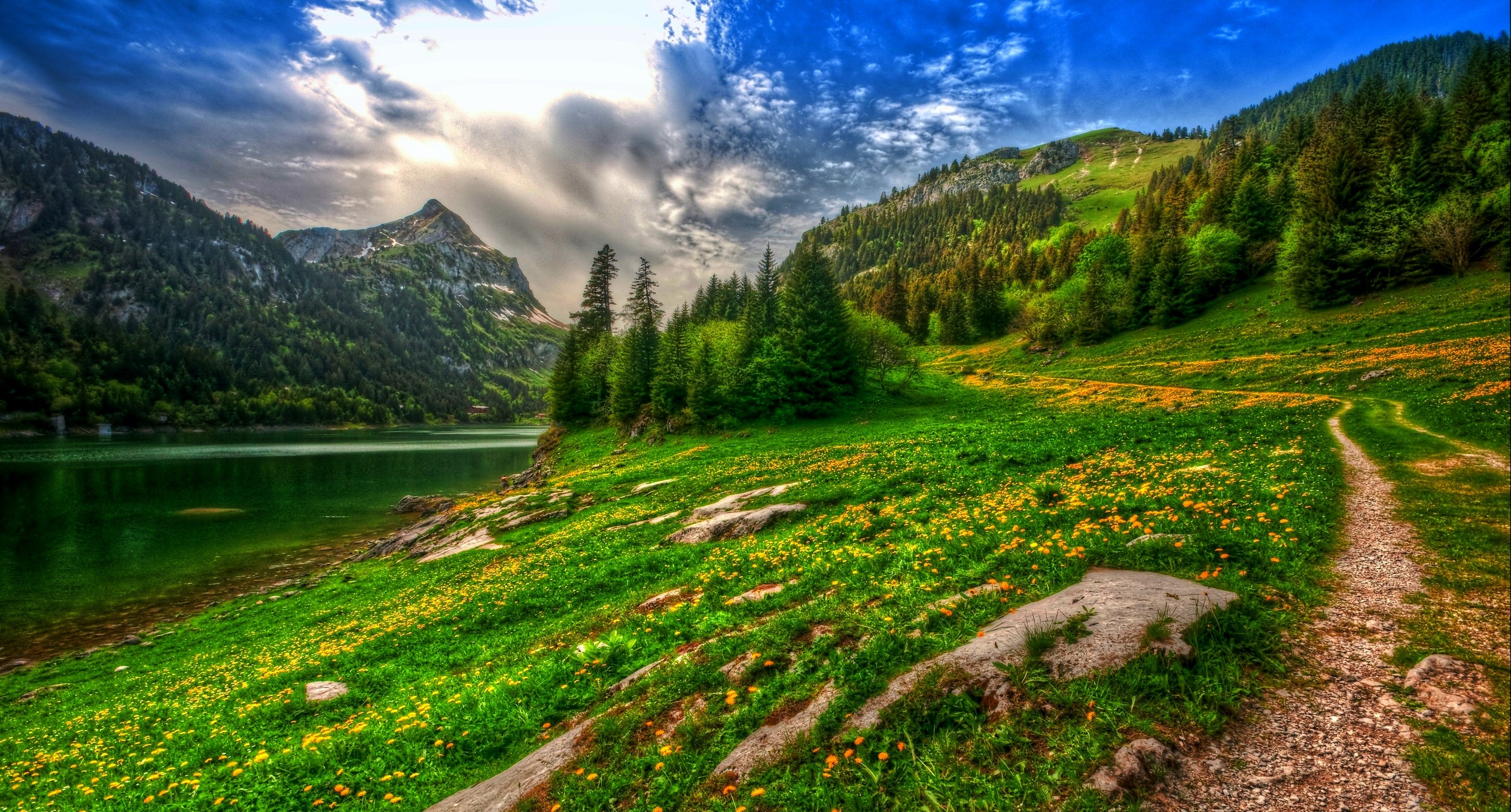General 2526x1358 nature landscape lake mountains forest wildflowers spring pine trees path Switzerland HDR