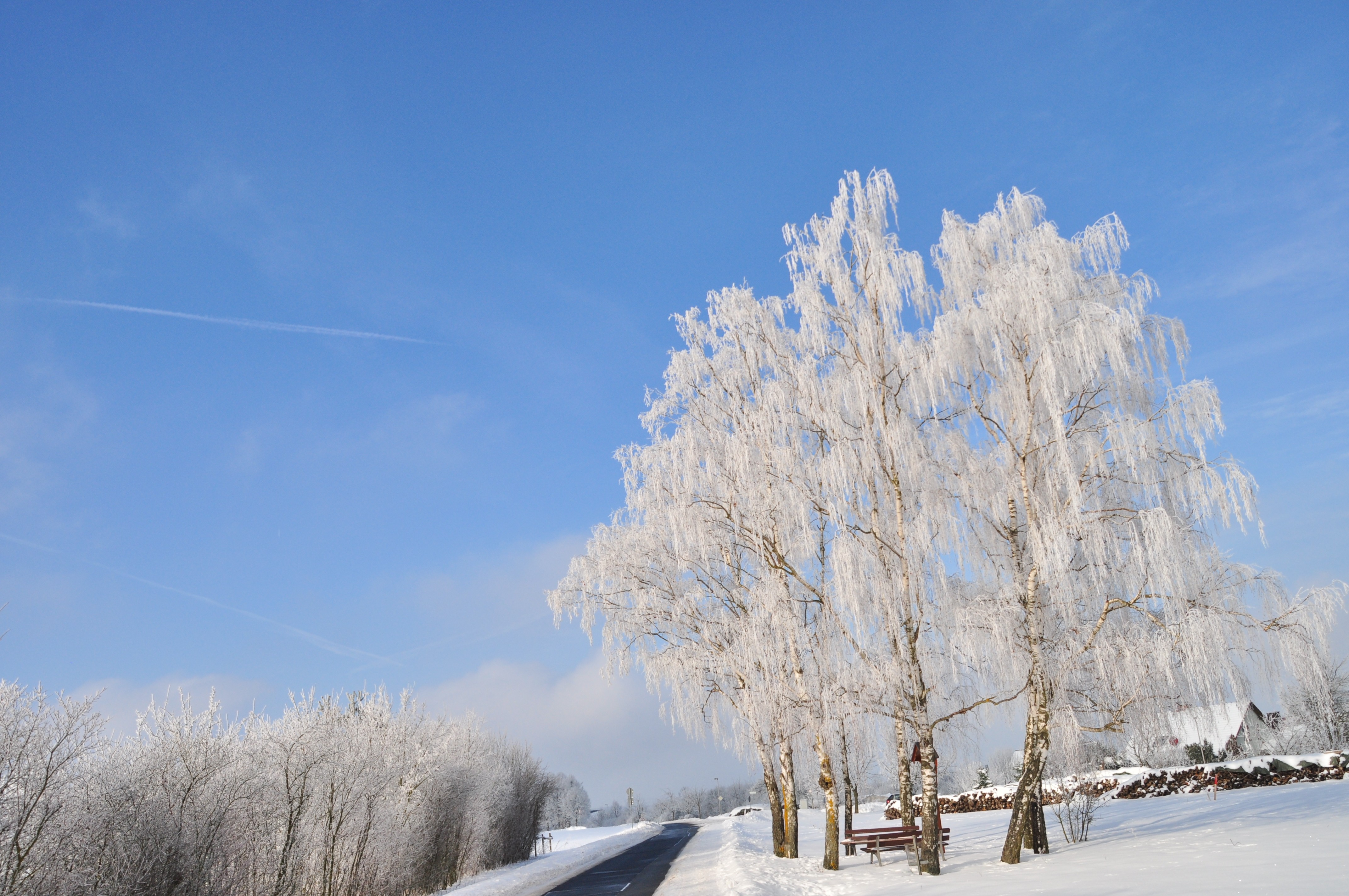 General 4288x2848 nature snow winter road Poland outdoors cold trees sky