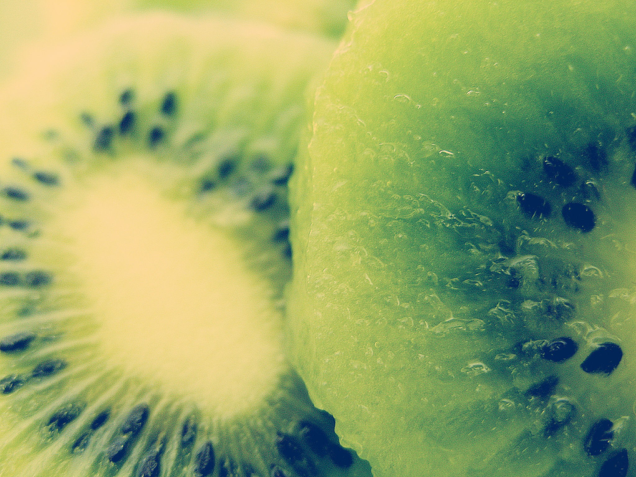 General 2048x1536 fruit food macro kiwi (fruit)