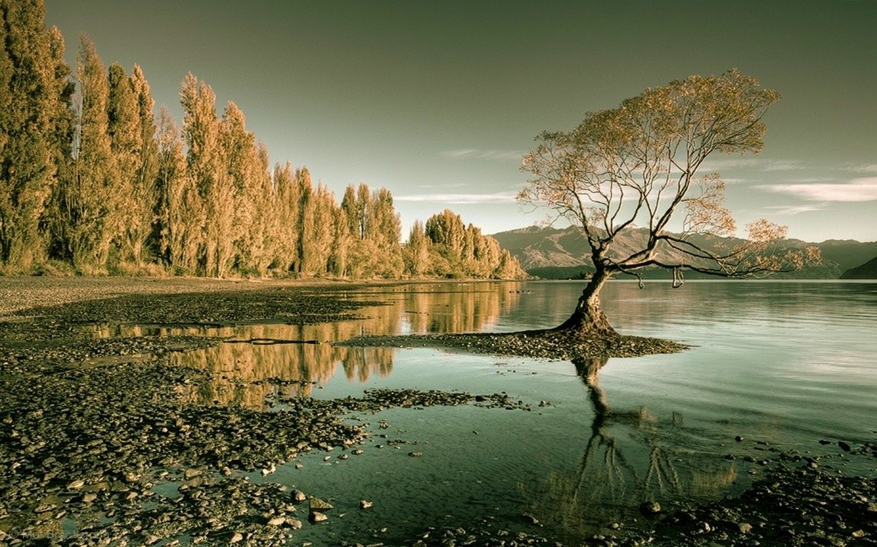 General 1230x768 nature landscape lake forest trees water New Zealand reflection mountains
