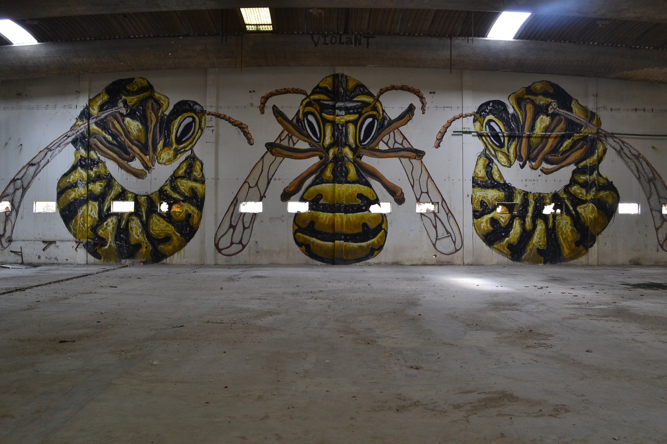 General 2304x1536 street art graffiti wall wasps lights insect