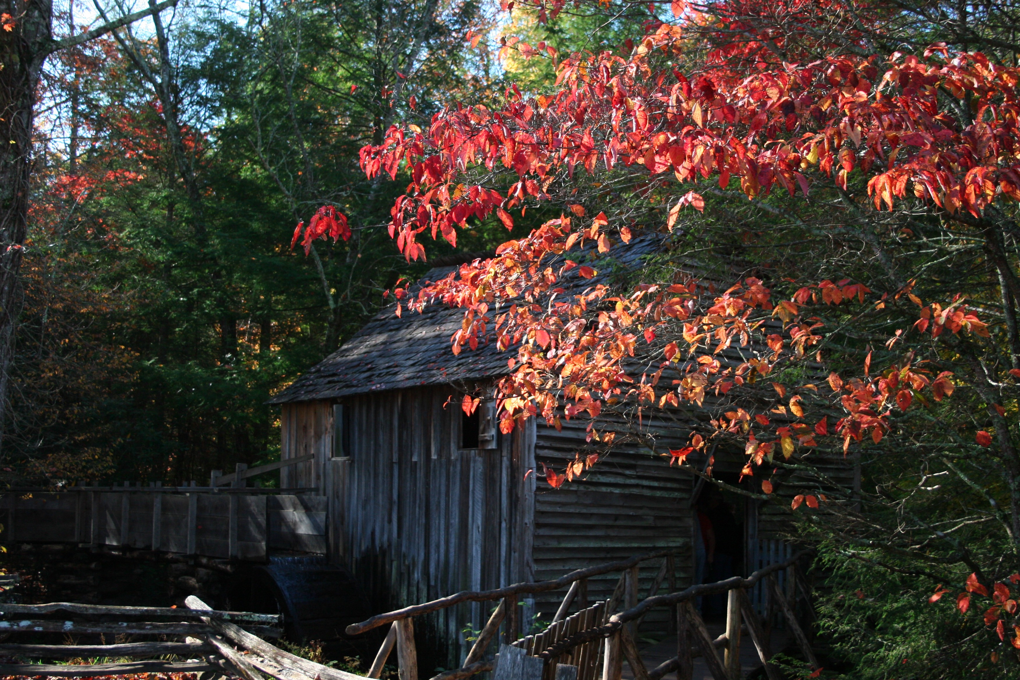 General 3504x2336 forest watermills wood house red leaves
