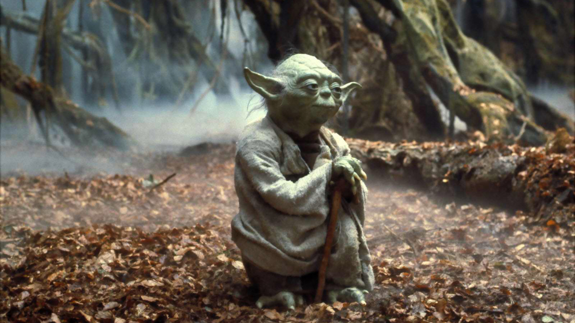 People 1920x1080 Yoda Star Wars: Episode V - The Empire Strikes Back Star Wars movies Jedi Dagobah Star Wars Heroes science fiction