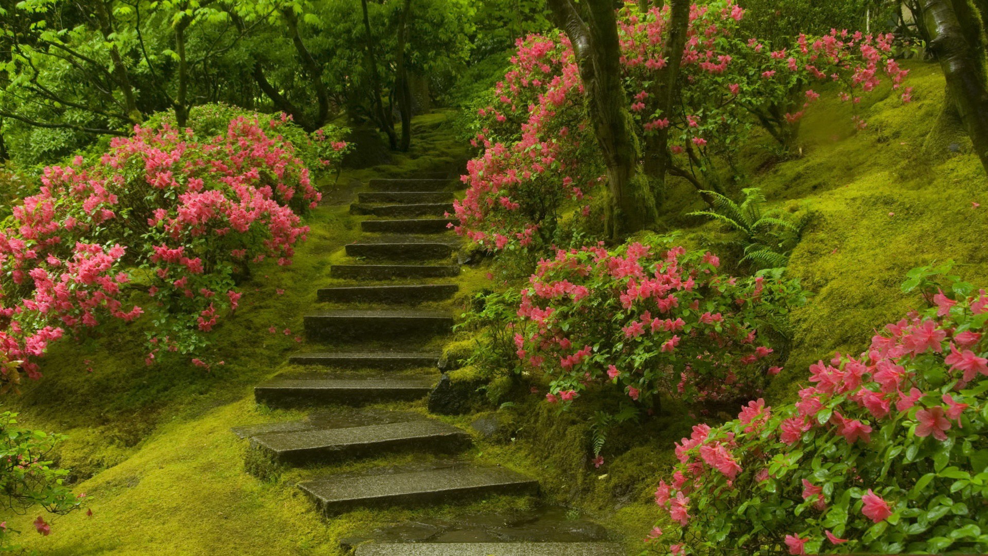 General 1920x1080 nature traditional art plants flowers trees stairs artwork