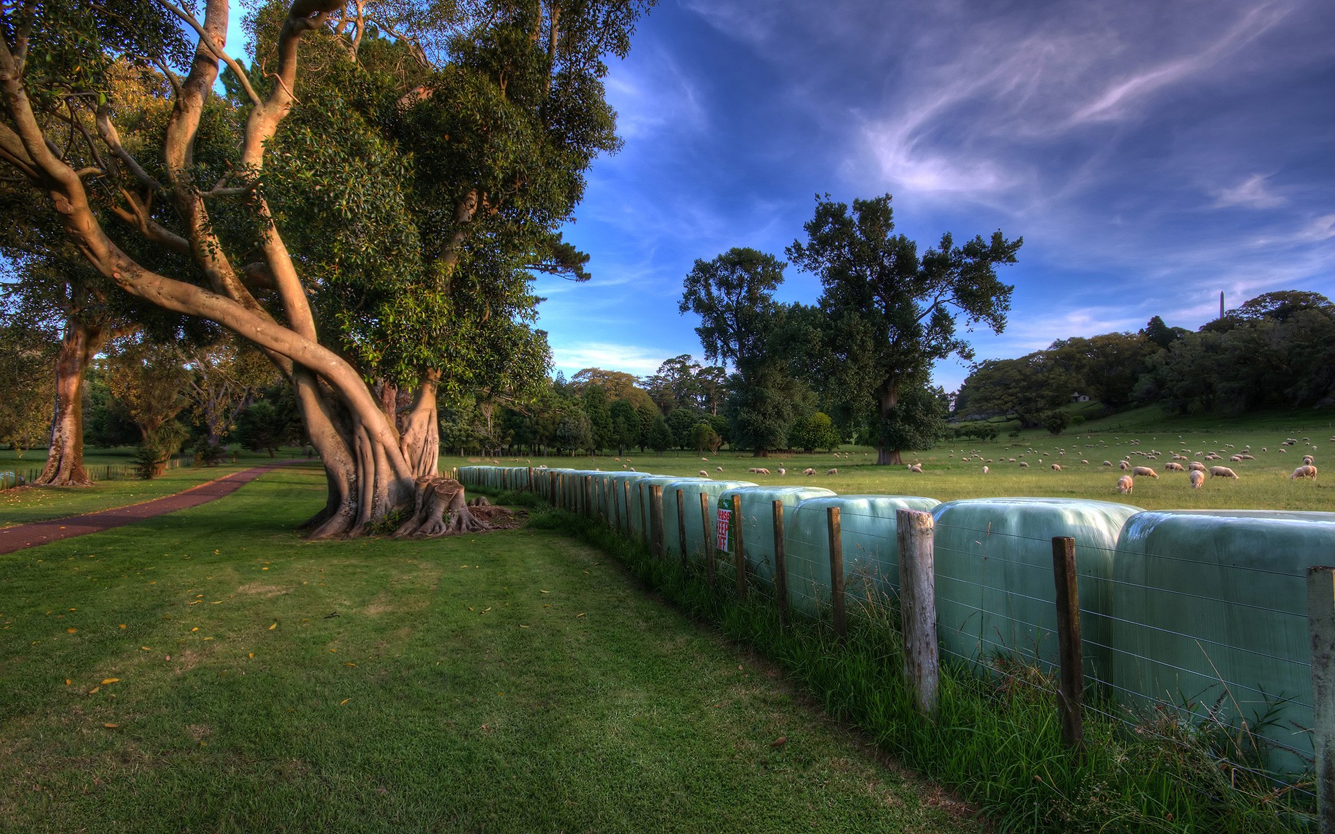General 1920x1200 trees outdoors fence