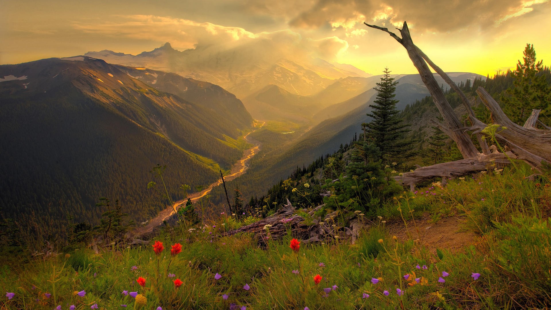 General 1920x1080 mountains flowers grass trees clouds nature landscape valley plants outdoors