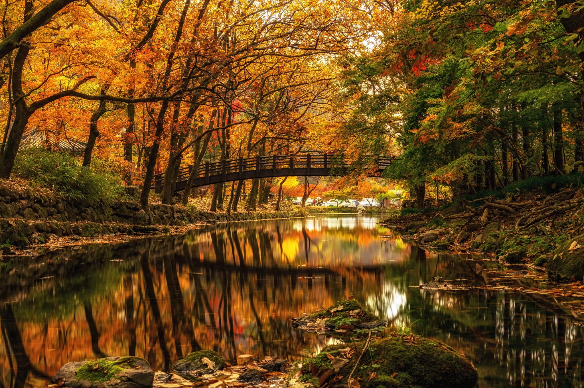 General 2048x1361 nature landscape water trees forest river bridge fall branch stones reflection