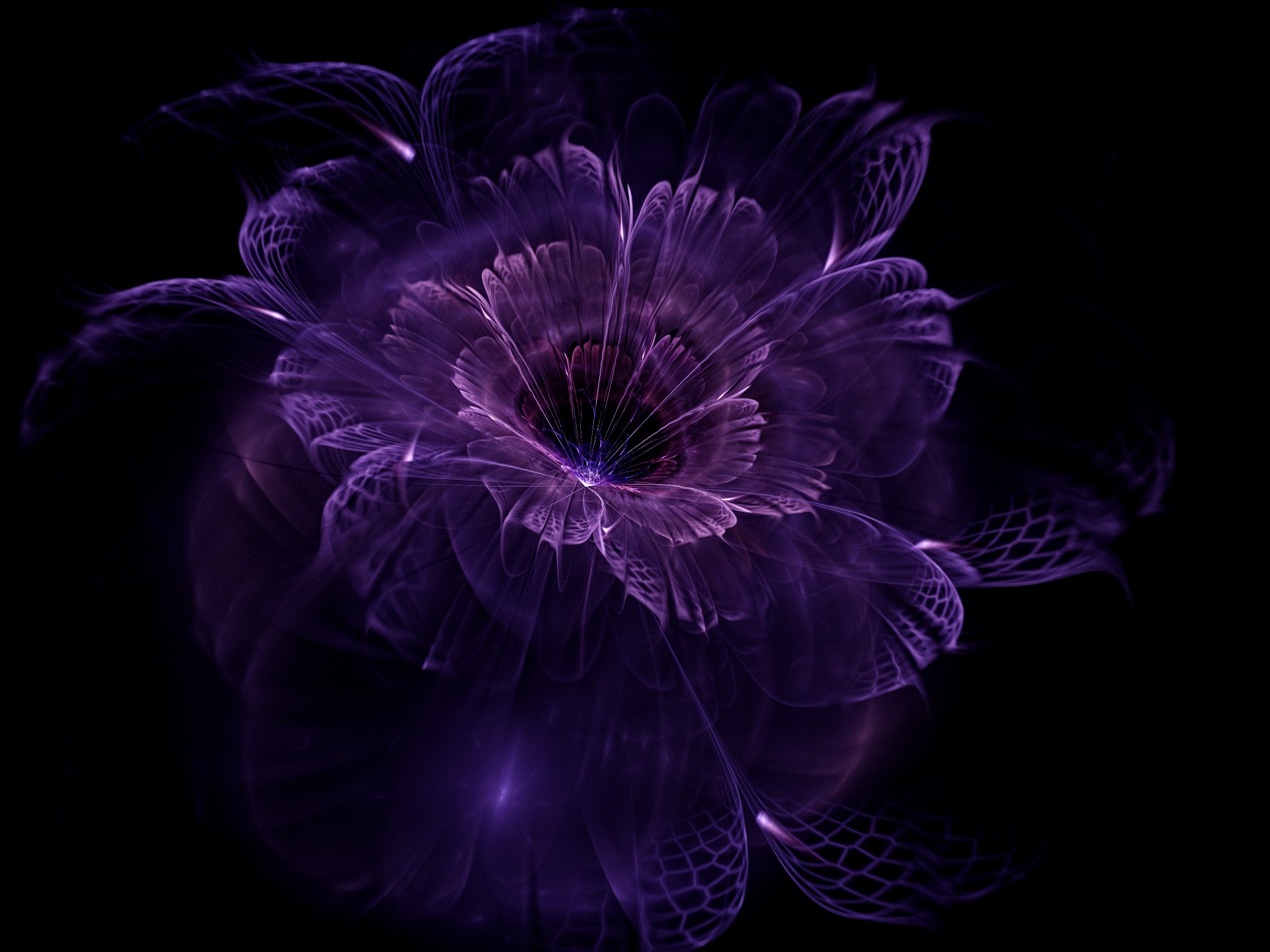 General 1920x1440 abstract fractal black background fractal flowers purple flowers plants simple background digital art