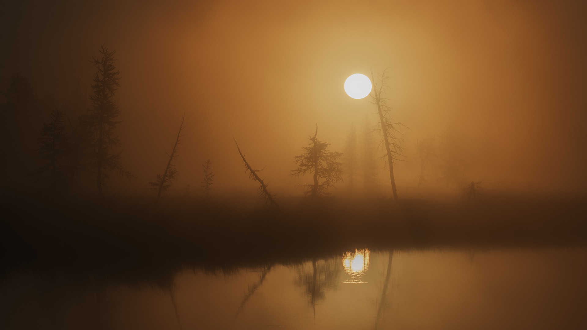 General 1920x1080 nature landscape trees mist blurred Sun water lake reflection silhouette